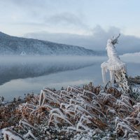 Смотрящий :: Сергей Герасимов Смотрящий :: Сергей Герасимов