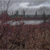 Атмосфера поздней осени :: Валентин Котляров