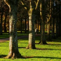 В первых лучах солнца :: Юрий. Шмаков В первых лучах солнца :: Юрий. Шмаков