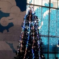 Ёлка новогодняя :: Дмитрий Никитин Ёлка новогодняя :: Дмитрий Никитин