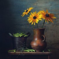 ... :: Natali-C C ... :: Natali-C C