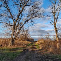 Тишина :: Валерий Ткаченко Тишина :: Валерий Ткаченко