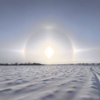 Солнечный день :: Anna Ivanova Солнечный день :: Anna Ivanova