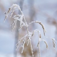 *** :: Виктор Иванович Чернюк