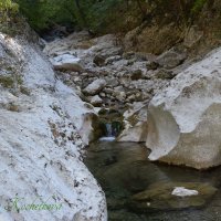 Природа Крыма :: Amazing Cosmea