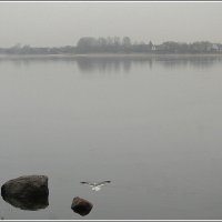 *** :: Aleksandr Gal *** :: Aleksandr Gal