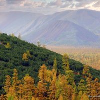 /// :: Константин Есипов /// :: Константин Есипов