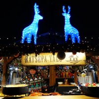 Накормим всех.. :: Aida10 Накормим всех.. :: Aida10