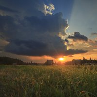 *** :: Nataliya Belova