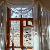 Вид из окна музея :: Мария Васильева Вид из окна музея :: Мария Васильева