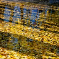 В ОТРАЖЕНИИ ОСЕНИ :: Юрий Вовк