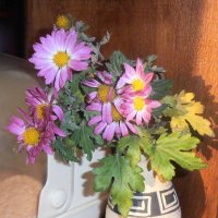 Зимний букетик :: Наталья Зимний букетик :: Наталья