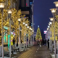 В декабре, в декабре все деревья в огне... т.е. в огоньках :: Татьяна Машошина В декабре, в декабре все деревья в огне... т.е. в огоньках :: Татьяна Машошина