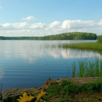 Медное озеро :: Елена Суханова Медное озеро :: Елена Суханова