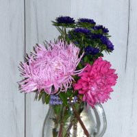 Букет из астр. :: nadyasilyuk Вознюк Букет из астр. :: nadyasilyuk Вознюк