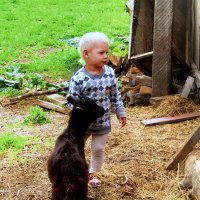 Ребята и зверята. :: nadyasilyuk Вознюк Ребята и зверята. :: nadyasilyuk Вознюк