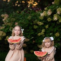 Арбузы :: Вячеслав Дроздов Арбузы :: Вячеслав Дроздов