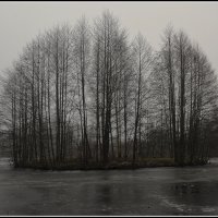 *** :: Aleksandr Gal *** :: Aleksandr Gal