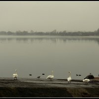 *** :: Aleksandr Gal *** :: Aleksandr Gal