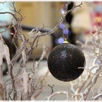 Шарик :: ZNatasha - Шарик :: ZNatasha -