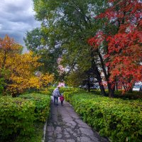 *   *   * :: Уже не важно 