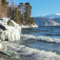 На Телецком озере :: елена беликова На Телецком озере :: елена беликова