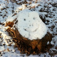 У природы нет плохой погоды, но сколько можно так издеваться зимой! :-) :: Андрей Заломленков