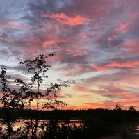 Акварельное небо :: Ольга Савельева 