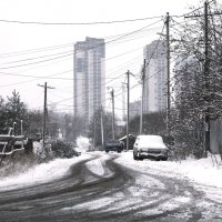 новосёлы... :: Сергей