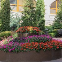 Кисловодск :: navalon M Кисловодск :: navalon M