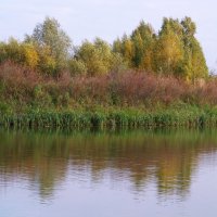 Осенняя Ачаирка. :: сергей ермошкин Осенняя Ачаирка. :: сергей ермошкин