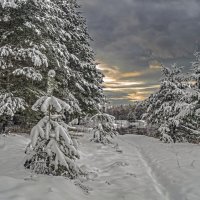 Зима :: Александр Иванович Шитов Зима :: Александр Иванович Шитов