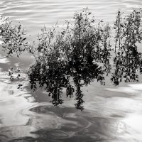 Фотография :: Денис Безногов Фотография :: Денис Безногов