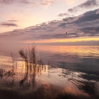 Предрассветье :: Ирина