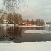 Сестрорецк :: Елена Суханова Сестрорецк :: Елена Суханова