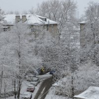 Зима всё-таки :: Татьяна Машошина Зима всё-таки :: Татьяна Машошина