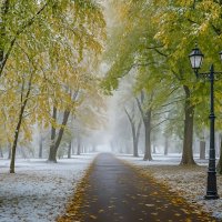 Первый снег :: Aleksey Afonin