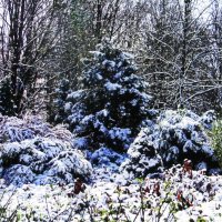 Всё в снегу :: Людмила Смородинская