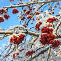 *   *   * :: Уже не важно 