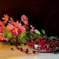 Дачный :: Валентина Богатко 