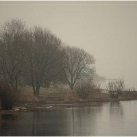 Туманный день :: Aleksandr Gal