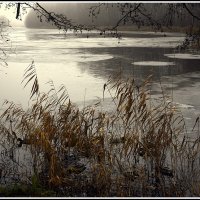 *** :: Aleksandr Gal