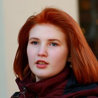 Рыжик :: Владимир59 Рыжик :: Владимир59