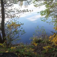 Ноябрьские зарисовки :: Рита Симонова