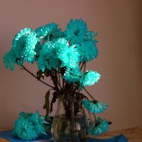 Хризантемы. :: nadyasilyuk Вознюк Хризантемы. :: nadyasilyuk Вознюк