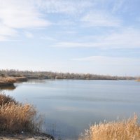 **** :: Виктор 