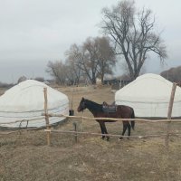 Talgar. :: Murat Bukaev 