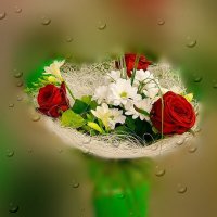 Просто букет...)) 2 :: Игорь Тельцов Просто букет...)) 2 :: Игорь Тельцов