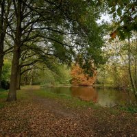 *** :: Николай Гирш