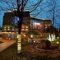 Предновогоднее настроение. :: Лия ☼